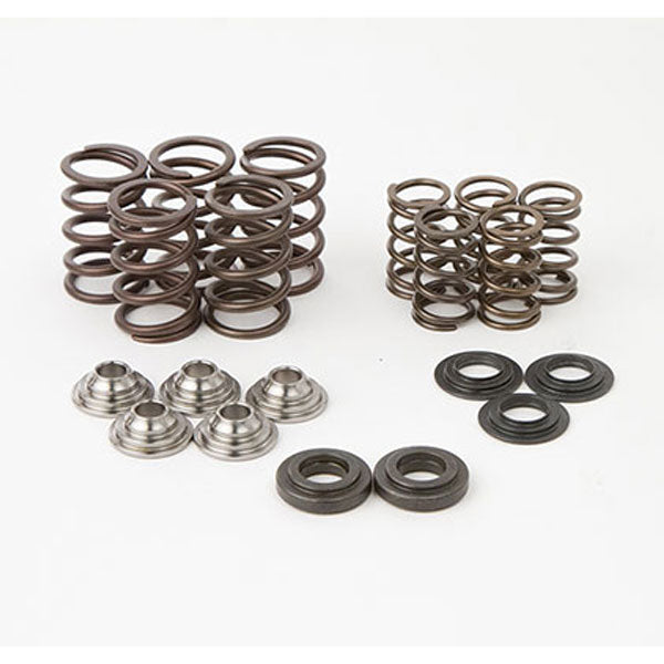 HOT CAMS VALVE SPRING KIT YAMAHA SKYFM660S2