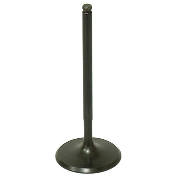 BRONCO ATV/UTV INTAKE VALVE POLARIS AU-09190I