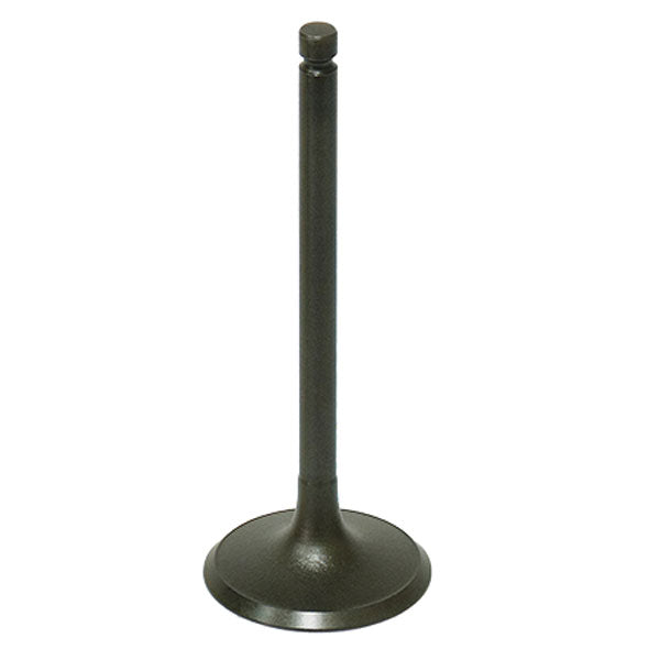 BRONCO ATV/UTV INTAKE VALVE POLARIS AU-09191I
