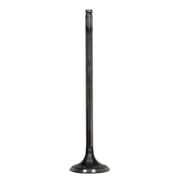 BRONCO ATV/UTV INTAKE VALVE POLARIS AU-09192I