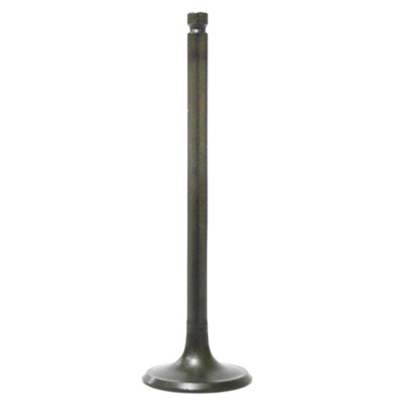 BRONCO ATV/UTV INTAKE VALVE POLARIS AU-09193I