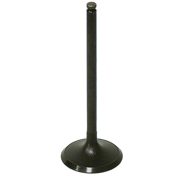 BRONCO ATV/UTV INTAKE VALVE POLARIS AU-09197I