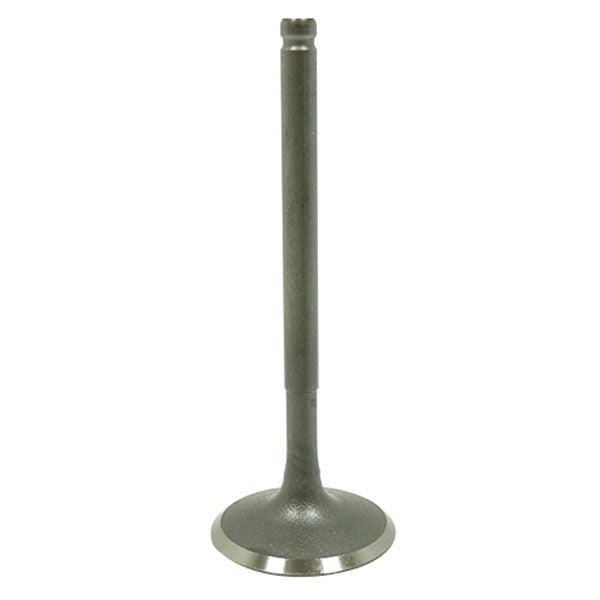 BRONCO ATV/UTV INTAKE VALVE POLARIS AU-09213I
