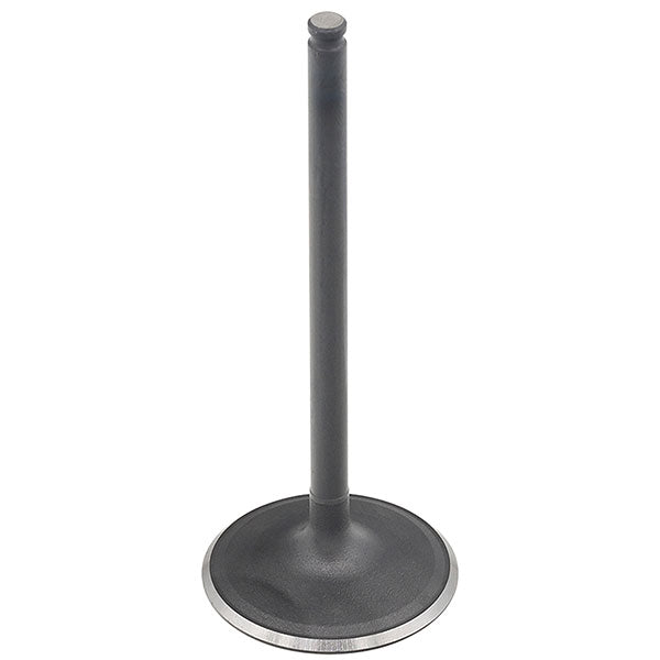 BRONCO ATV/UTV INTAKE VALVE POLARIS AU-09228I