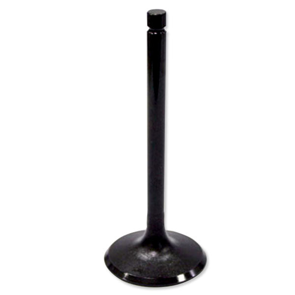 BRONCO ATV/UTV INTAKE VALVE HONDA AU-09011I