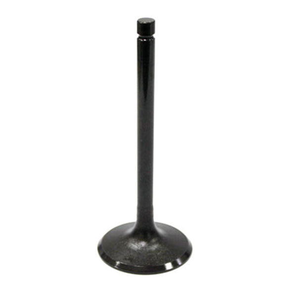 BRONCO ATV/UTV INTAKE VALVE HONDA AU-09012I