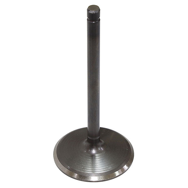 BRONCO ATV/UTV INTAKE VALVE HONDA AU-09223I