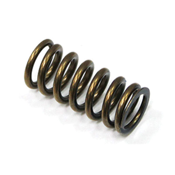 PSYCHIC INTAKE VALVE SPRING HONDA XU-09533IS