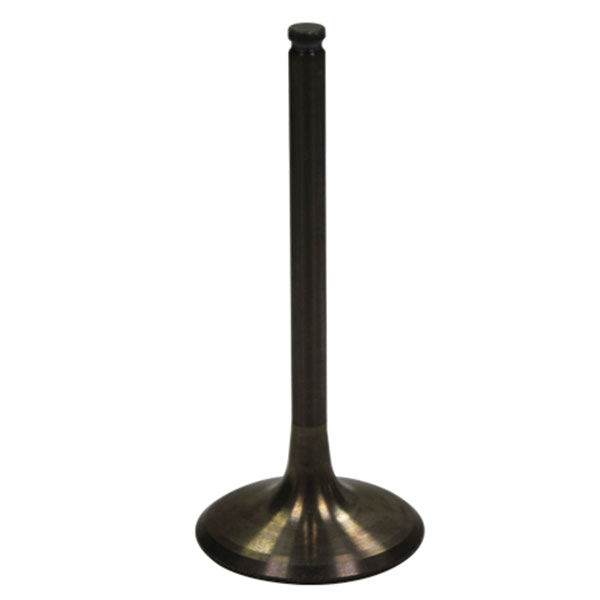 BRONCO ATV/UTV INTAKE VALVE SUZUKI AU-09028I