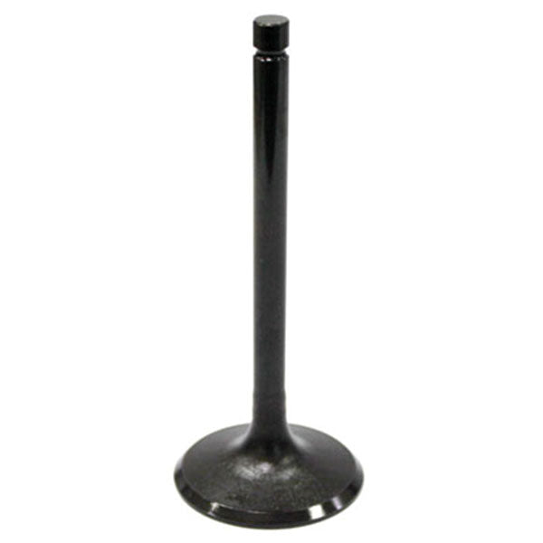 BRONCO ATV/UTV INTAKE VALVE SUZUKI AU-09031I