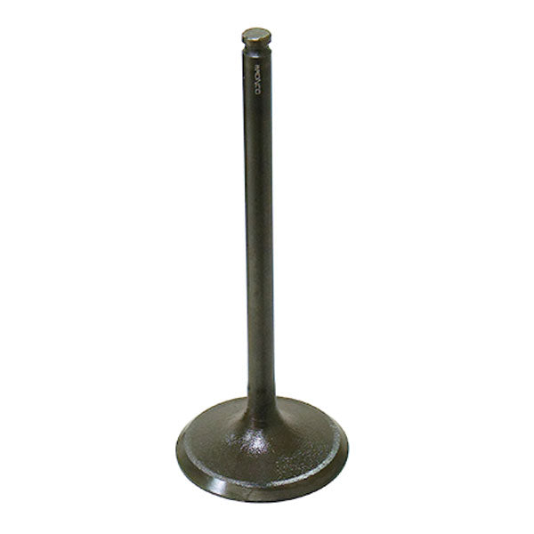BRONCO ATV/UTV INTAKE VALVE SUZUKI AU-09166I