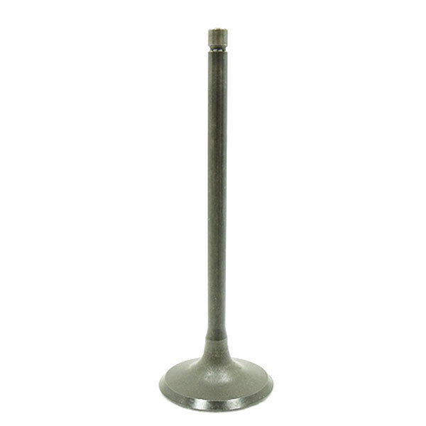 BRONCO ATV/UTV INTAKE VALVE SUZUKI AU-09199I