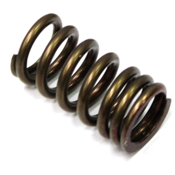 PSYCHIC EXHAUST VALVE SPRING SUZUKI/KAWASAKI XU-09509ES