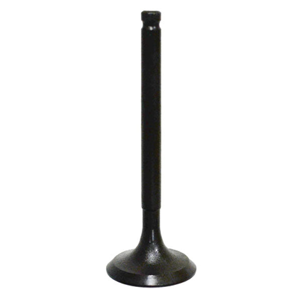 BRONCO ATV/UTV INTAKE VALVE KAWASKI AU-09163I