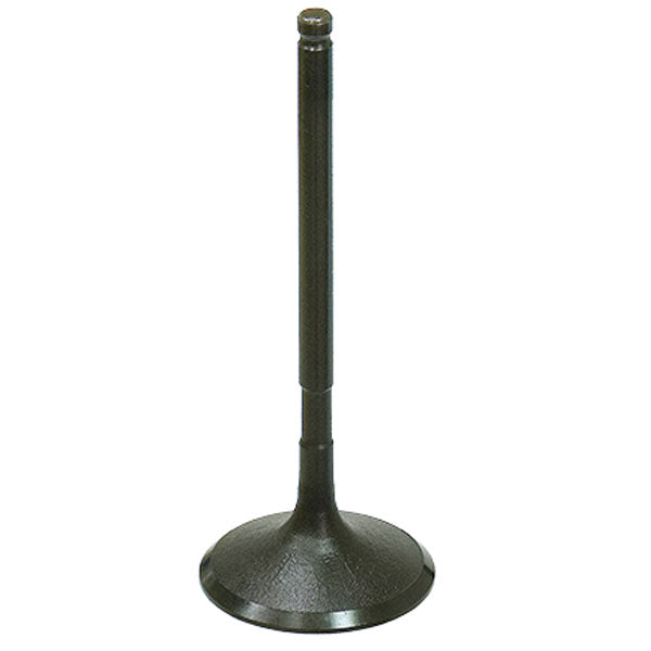 BRONCO ATV/UTV INTAKE VALVE KAWASKI AU-09205I