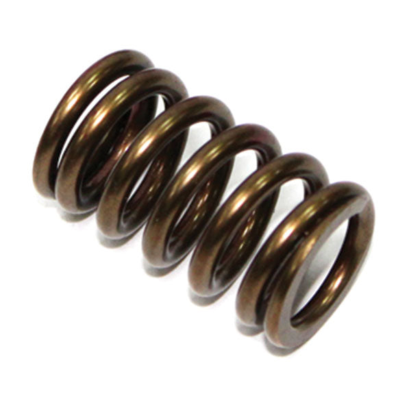 PSYCHIC EXHAUST VALVE SPRING KAWASAKI XU-09528ES