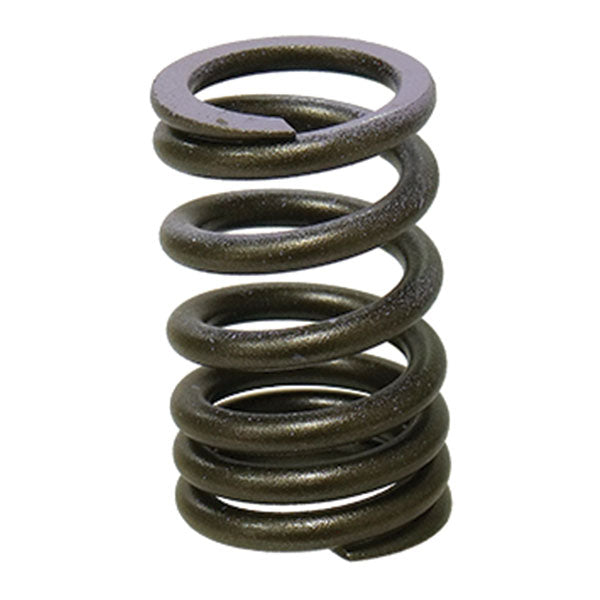 PSYCHIC INTAKE VALVE SPRING  XU-09552IS
