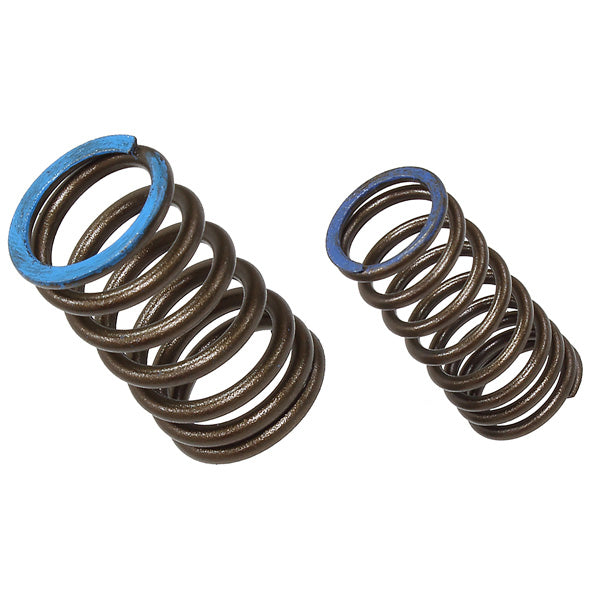PSYCHIC INTAKE VALVE SPRING KAWASAKI XU-09563IS