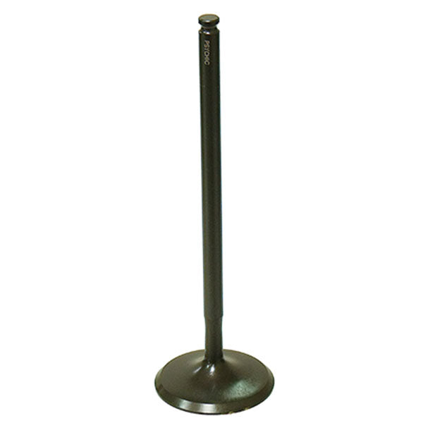 PSYCHIC INTAKE VALVE  XU-09550I