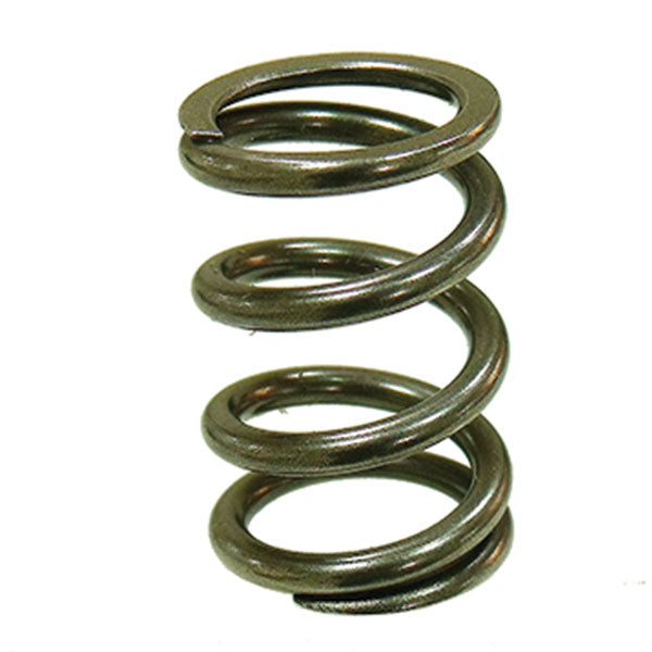 PSYCHIC EXHAUST VALVE SPRING  XU-09551ES