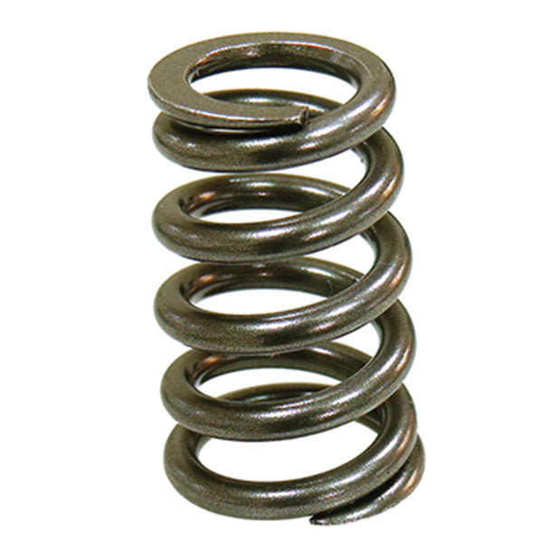 PSYCHIC INTAKE VALVE SPRING  XU-09550IS