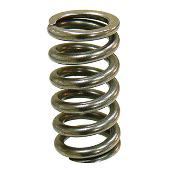 PSYCHIC INTAKE VALVE SPRING  XU-09551IS