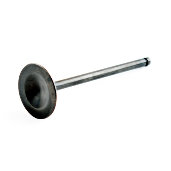 WSM INTAKE VALVE SEADOO WSM 010-017