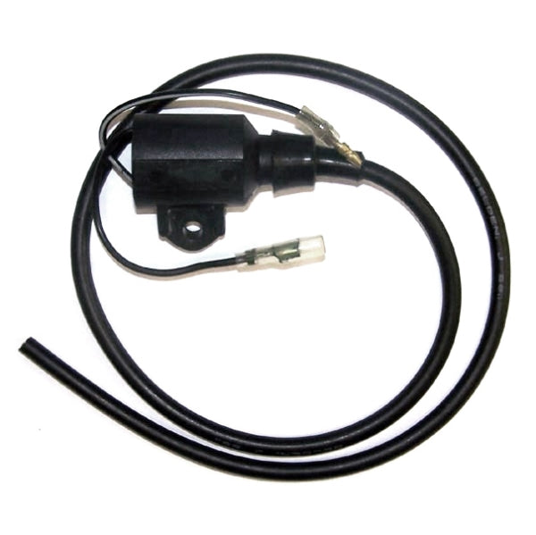 WSM IGNITION COIL POL 650-780 004-191