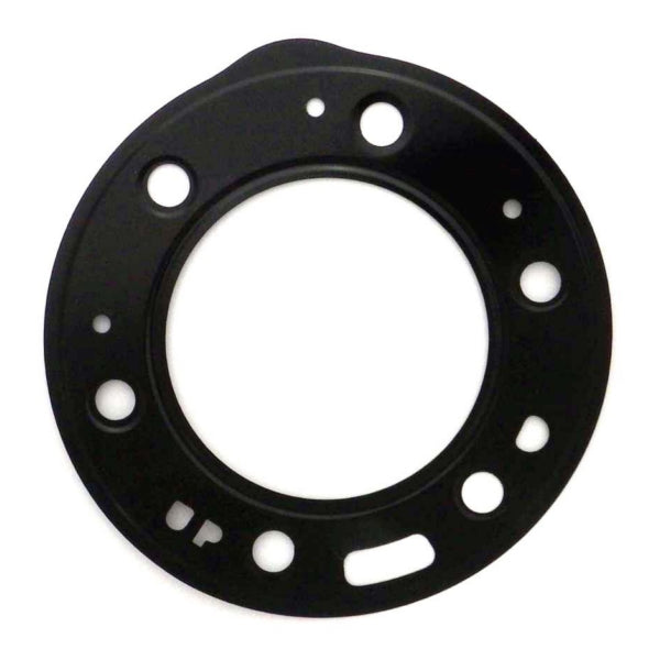 WSM HEAD GASKET POL 650 SL 007-420