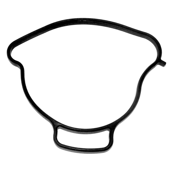 WSM WATER PUMP GASKET SEADOO 900 008-599-29