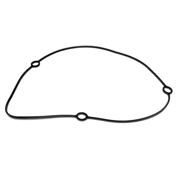 WSM GENERATOR COVER O-RING YAM 800 008-631