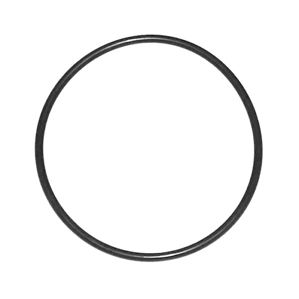 WSM EARTH PLATE O-RING YAM 008-689-04