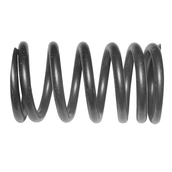 WSM VALVE SPRING EXT SEADOO 1503 010-030