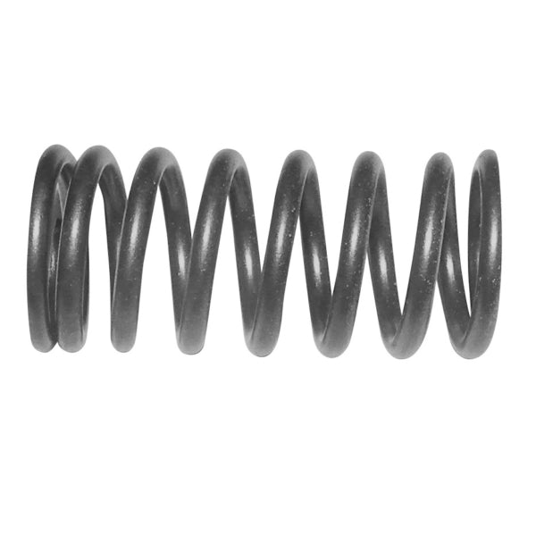 WSM VALVE SPRING INT SEADOO 1503 010-031