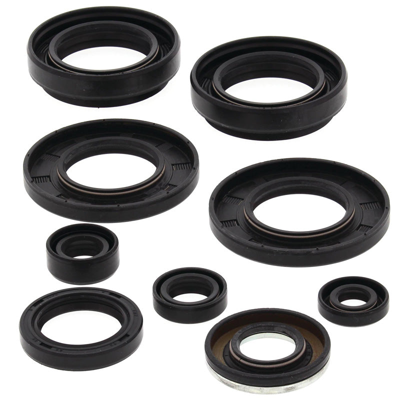VERTEX OIL SEAL KIT 822258