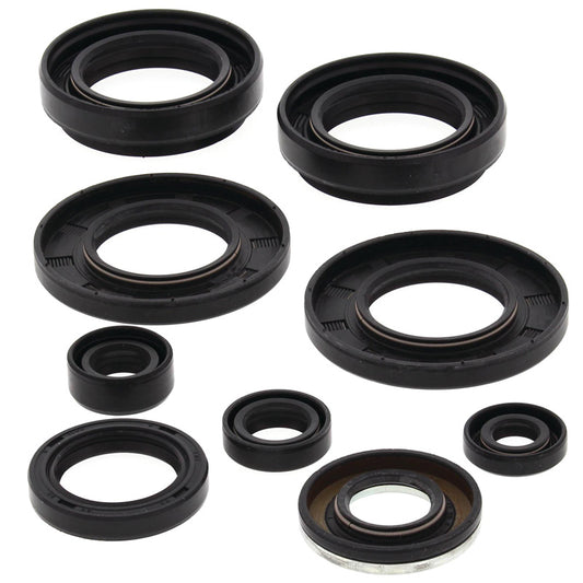 VERTEX OIL SEAL KIT 822258
