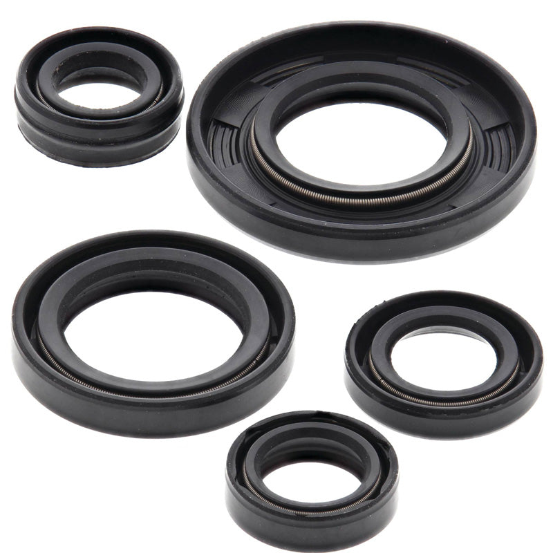 VERTEX OIL SEAL KIT 822240