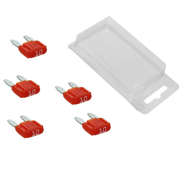 SPX MINI INTELLIGENT FUSES 5PK 10 AMP UP-01354-4