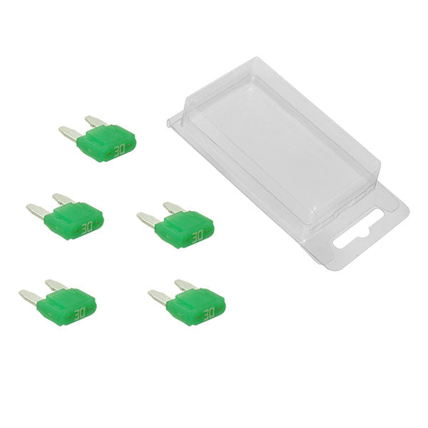 SPX MINI INTELLIGENT FUSES 5PK 30 AMP UP-01354-8