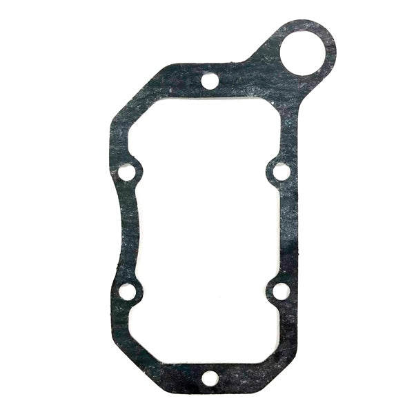 BRPEVINRUDE GASKET 317951