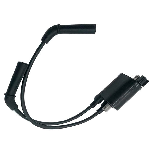 BRPEVINRUDE IGNITION COIL AY 5030799