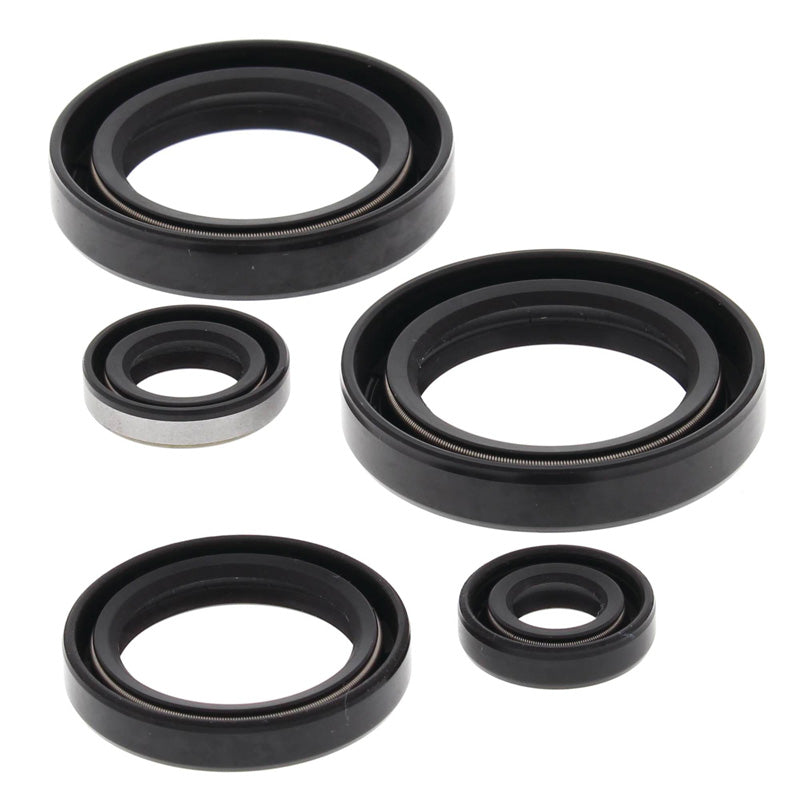 VERTEX OIL SEAL KIT 822244