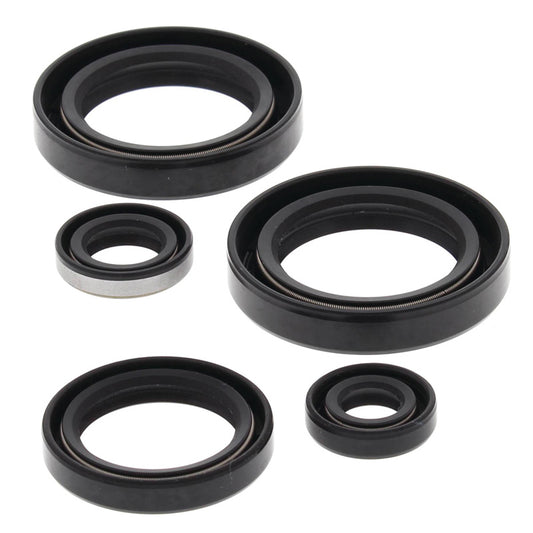 VERTEX OIL SEAL KIT 822244