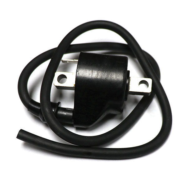 BRONCO IGNITION COIL POLARIS AT-01319
