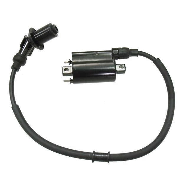 BRONCO IGNITION COIL POLARIS AT-01691