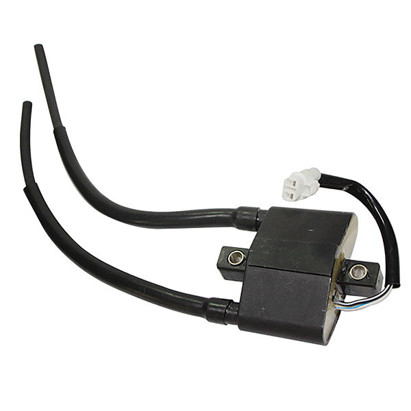 SPX IGNITION COIL ARCTIC CAT SM-01162
