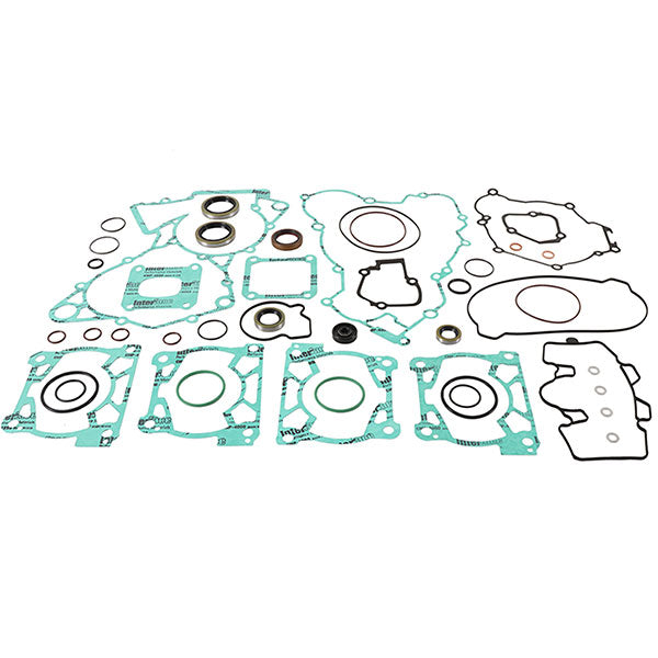 VERTEX GASKET SET & OIL SEALS  811370