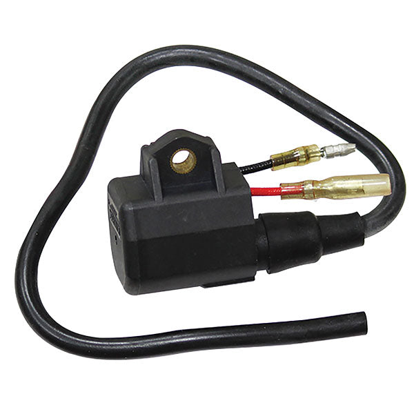 SPX IGNITION COIL POLARIS 01-143-60