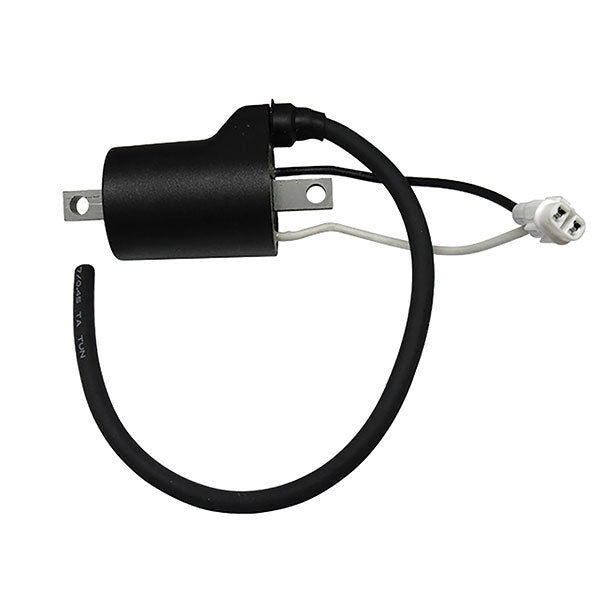 SPX IGNITION COIL POLARIS SM-01114