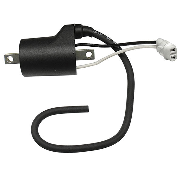 SPX IGNITION COIL POLARIS SM-01111